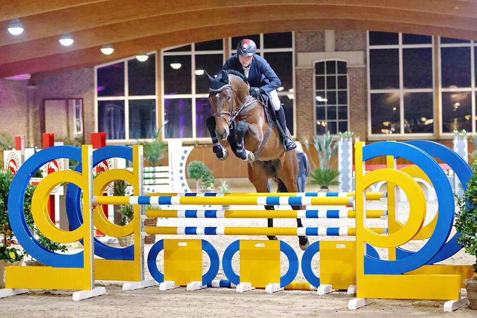 Diamant de Plaisir II Stallion